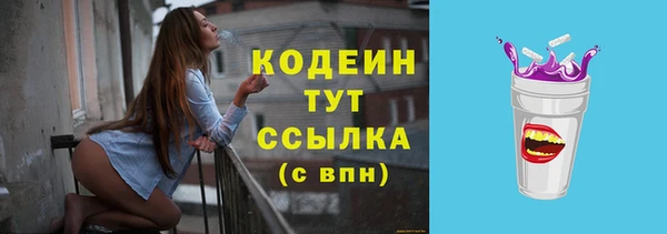 индика Сафоново